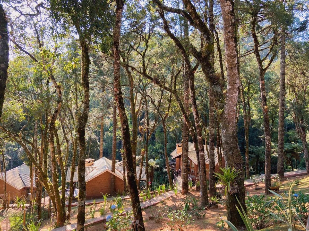 Vivie Inn 3*
