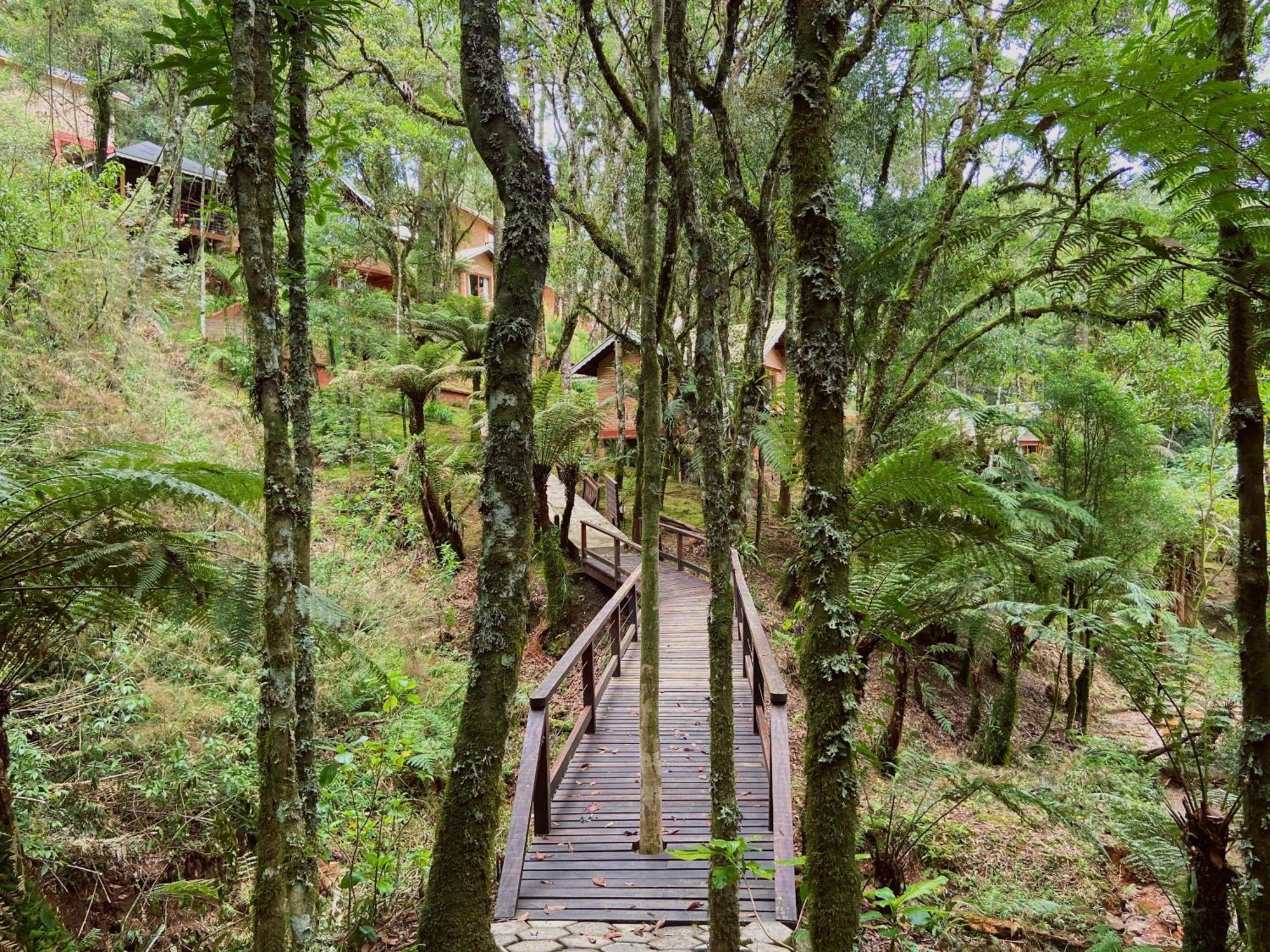 Vivie 3* Monte Verde (Minas Gerais)