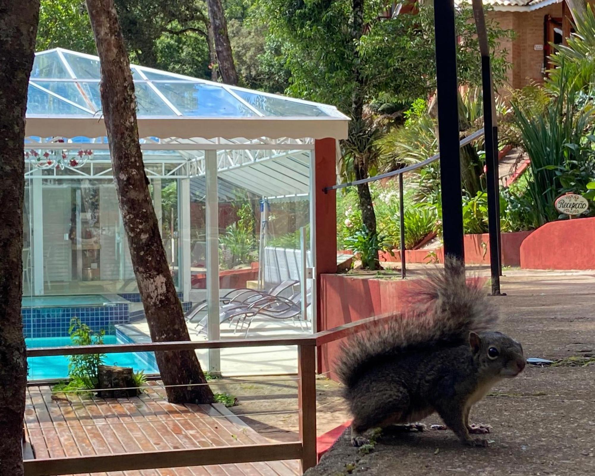 Vivie Inn Monte Verde (Minas Gerais)