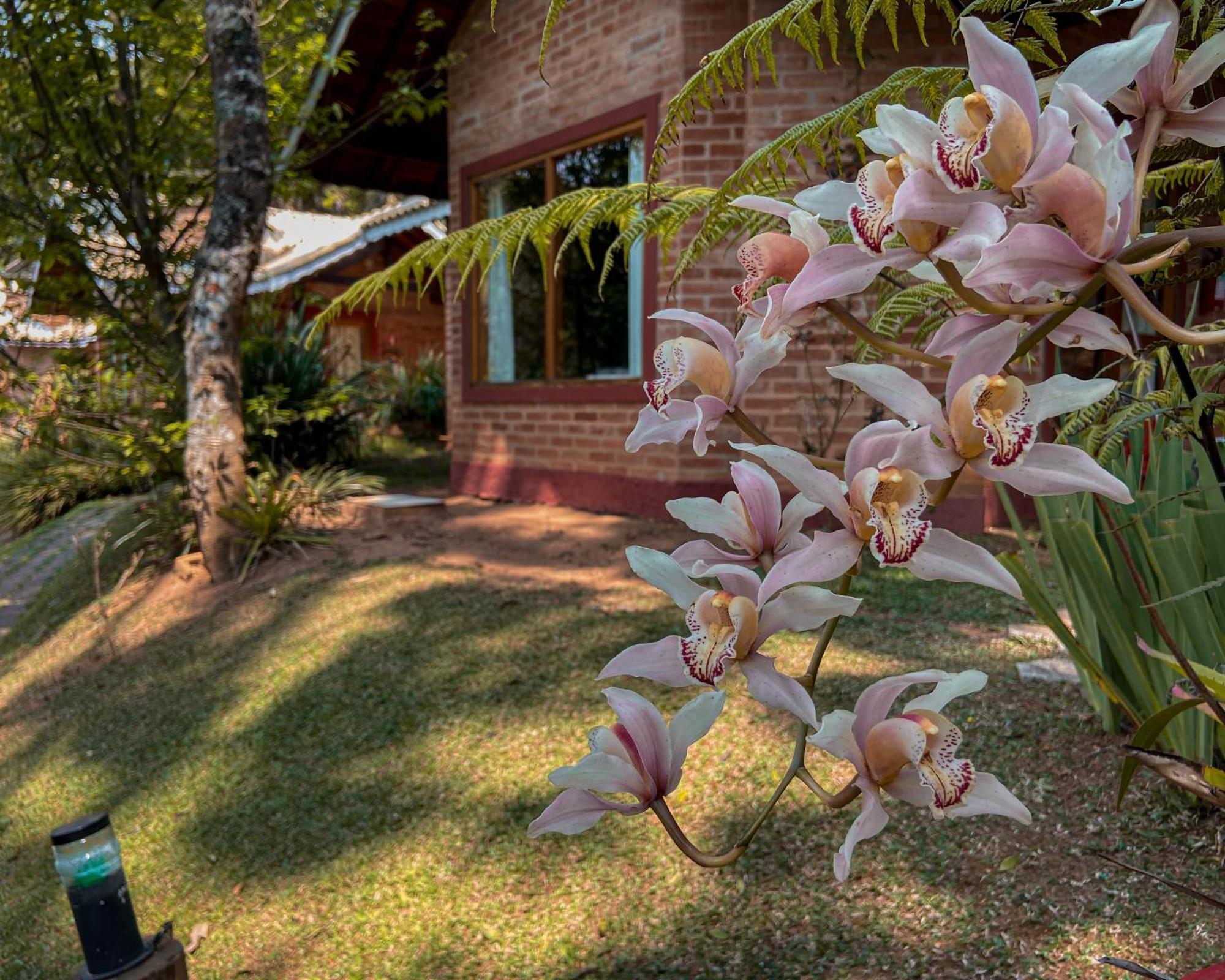 Vivie Monte Verde (Minas Gerais)